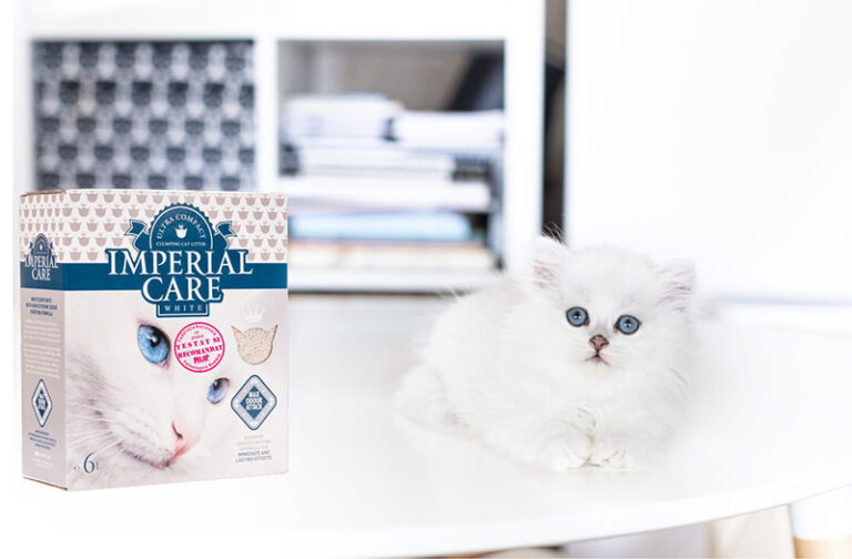 Imperial Care White: Cum am învățat să fac ziua mai frumoasă pisicii mele